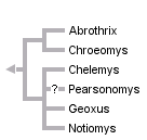 taxon links