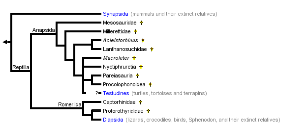 taxon links