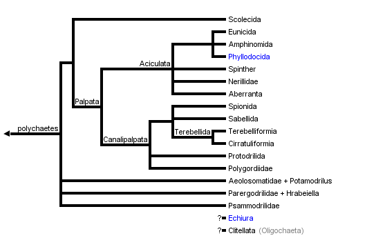 taxon links