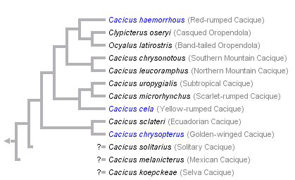 taxon links