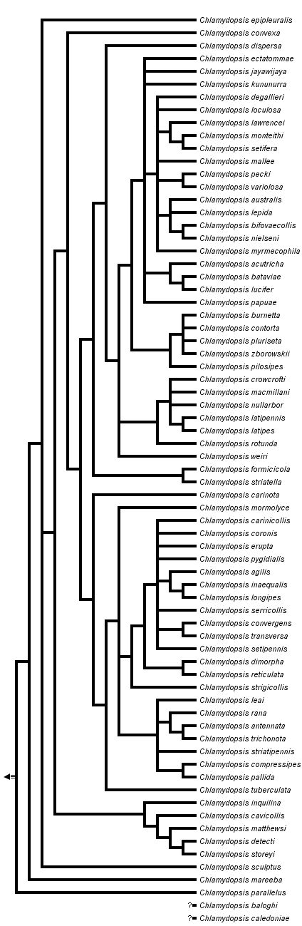 taxon links