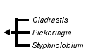 taxon links