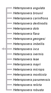 taxon links