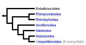 taxon links