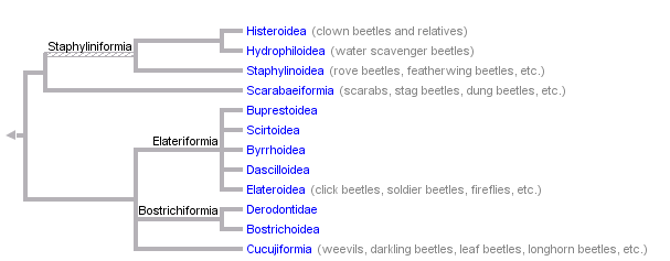 taxon links