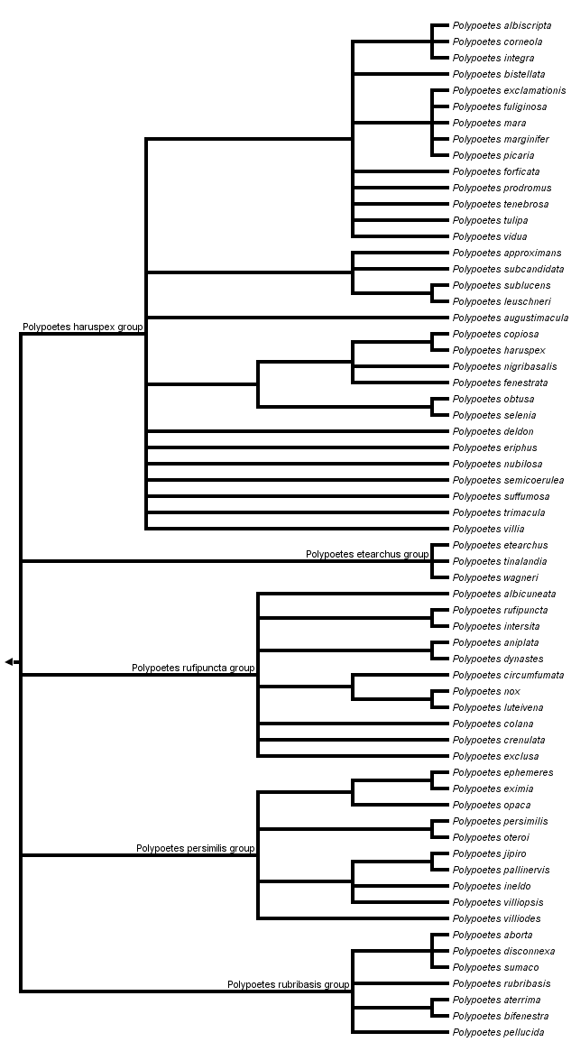 taxon links