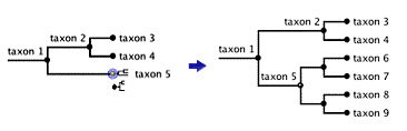 fetching a subgroup